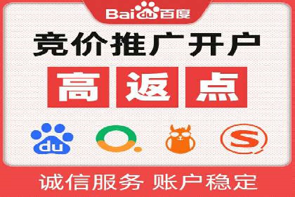 百度竞价广告成功案例：如何实现ROI最大化